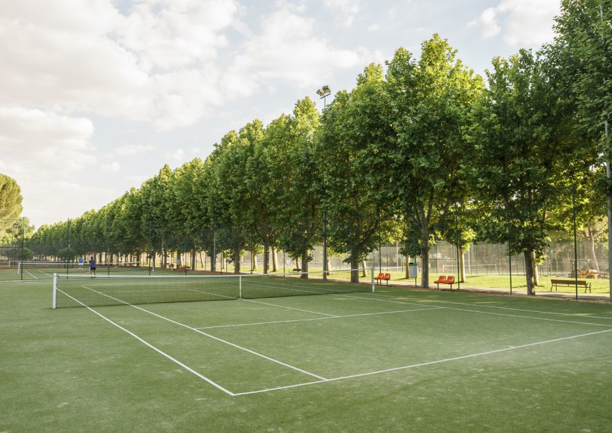 Pista de tenis de hierba artificial rodeada de árboles